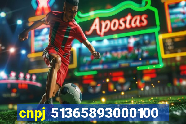 cnpj 51365893000100
